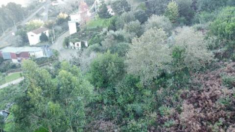 Terreno  para venda
