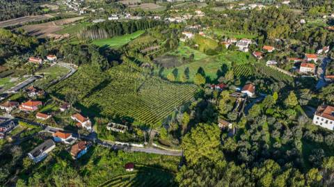 Quinta  para venda