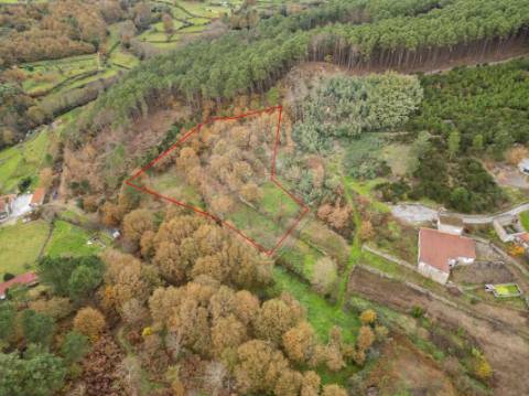 Terreno  para venda