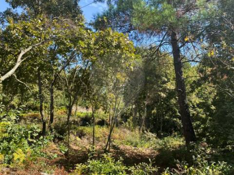 Terreno  para venda