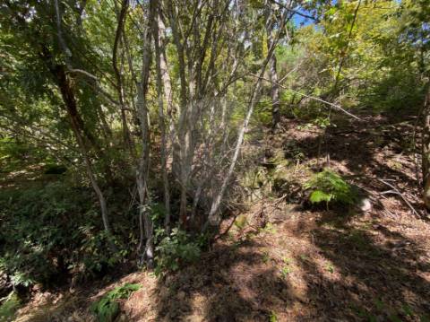 Terreno  para venda