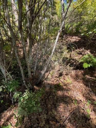 Terreno  para venda