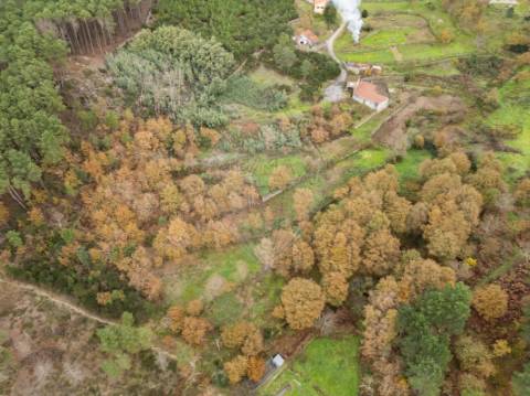 Terreno  para venda