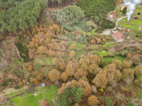Terreno  para venda