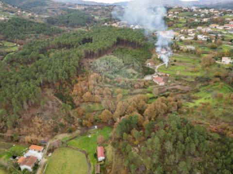 Terreno  para venda