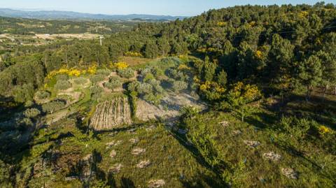 Terreno  para venda