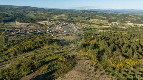 Terreno  para venda