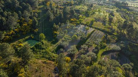 Terreno  para venda