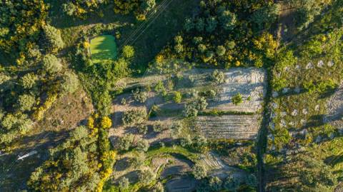 Terreno  para venda