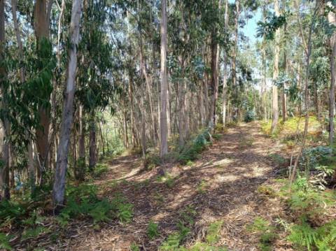 Terreno  para venda