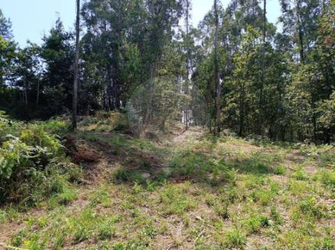 Terreno  para venda