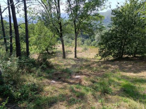 Terreno  para venda