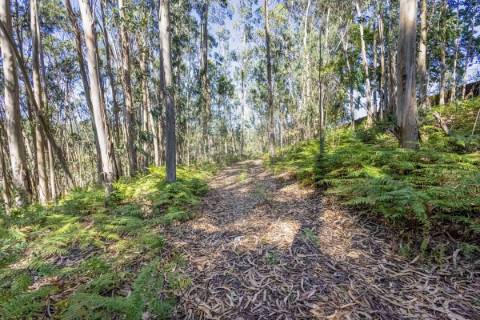 Terreno  para venda