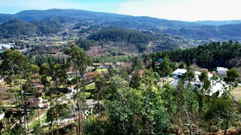 Terreno  para venda