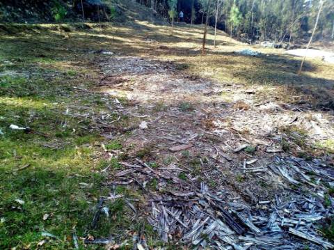 Terreno  para venda