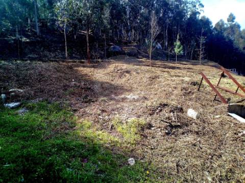 Terreno  para venda