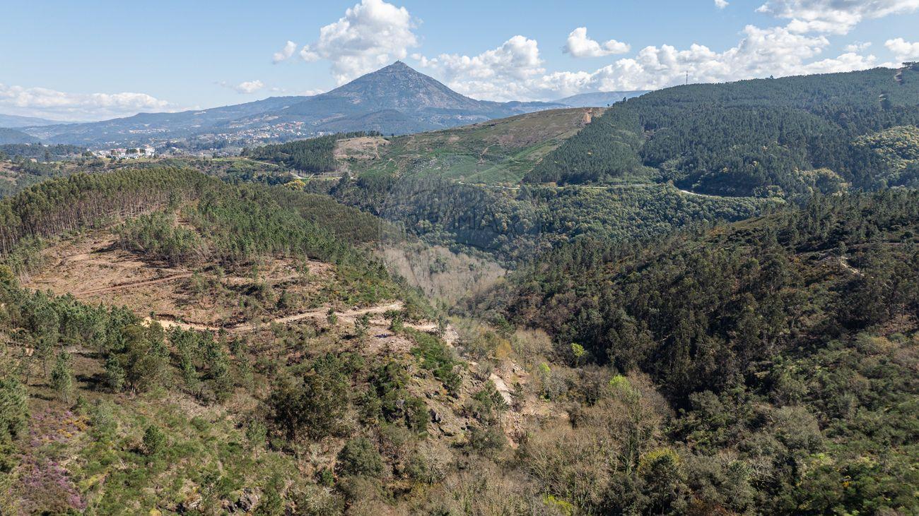 Quinta  para venda