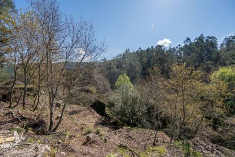 Quinta  para venda