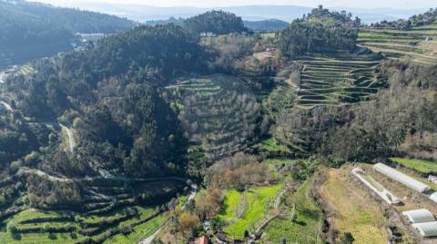 Quinta  para venda