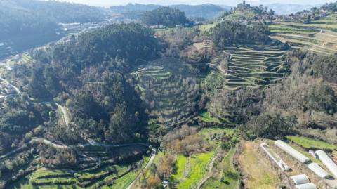 Quinta  para venda