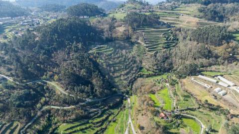Quinta  para venda
