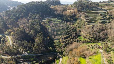 Quinta  para venda