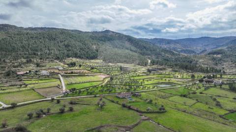 Terreno  para venda