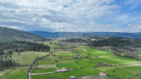 Terreno  para venda