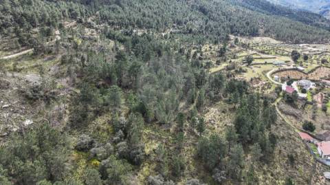 Terreno  para venda
