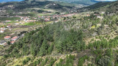 Terreno  para venda