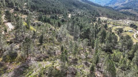 Terreno  para venda