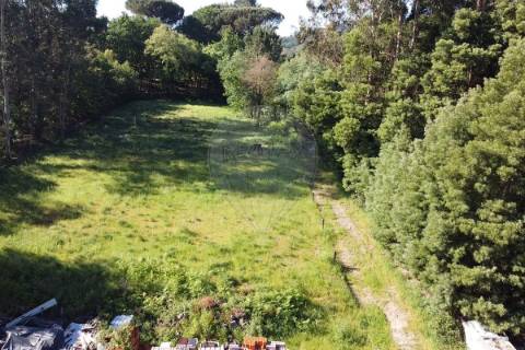Terreno  para venda