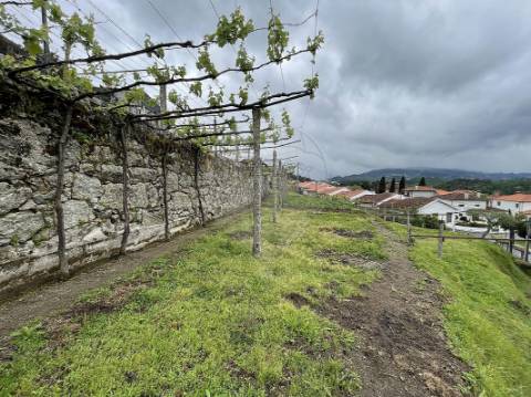 Terreno  para venda