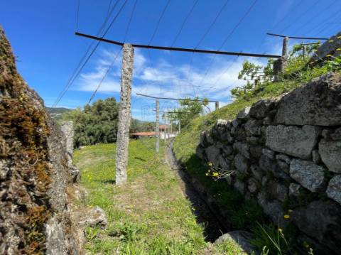 Terreno  para venda