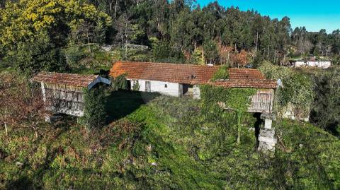Quinta  para venda