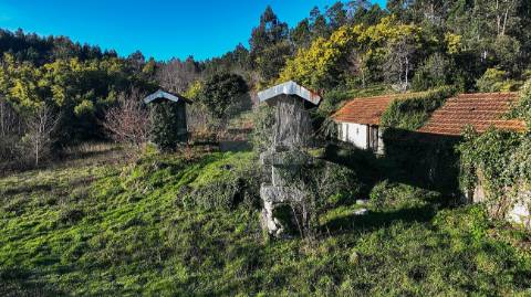 Quinta  para venda