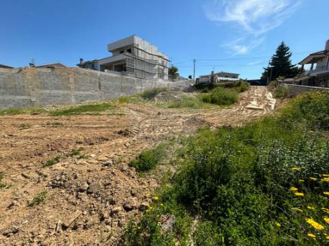 Terreno  para venda