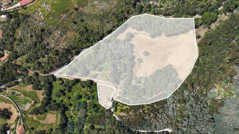 Terreno  para venda