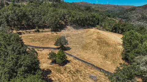Terreno  para venda