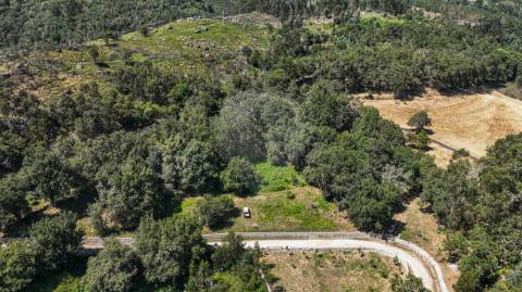 Terreno  para venda