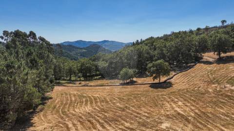 Terreno  para venda