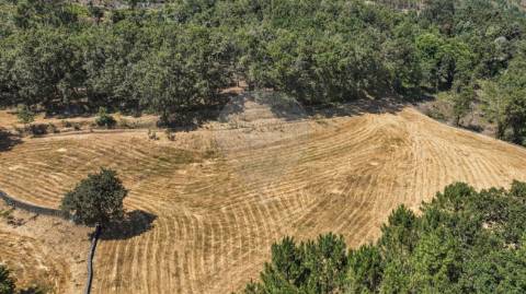 Terreno  para venda