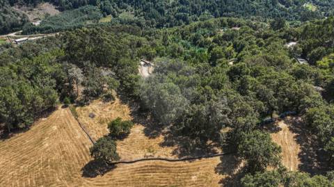Terreno  para venda