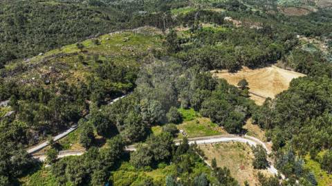 Terreno  para venda