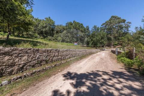 Terreno  para venda