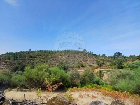 Terreno  para venda