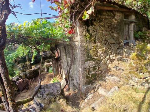 Terreno  para venda
