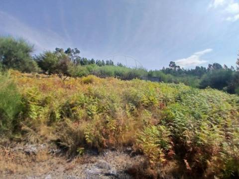 Terreno  para venda