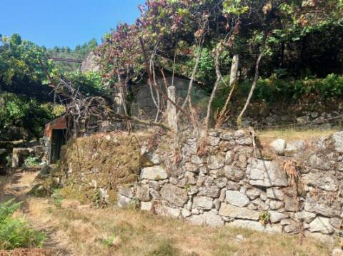 Terreno  para venda