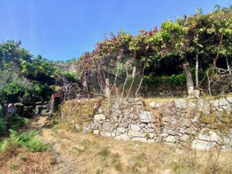 Terreno  para venda